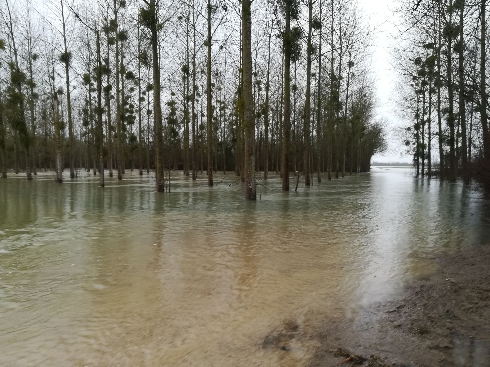 Inondations - PETR Châlons-en-Champagne - Janvier 2018